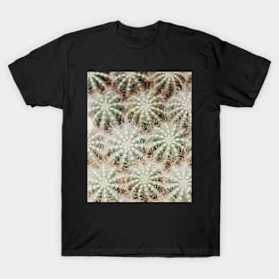 Cacti, Green, Modern art, Wall art, Print, Minimalistic, Modern, Scandinavian print T-Shirt